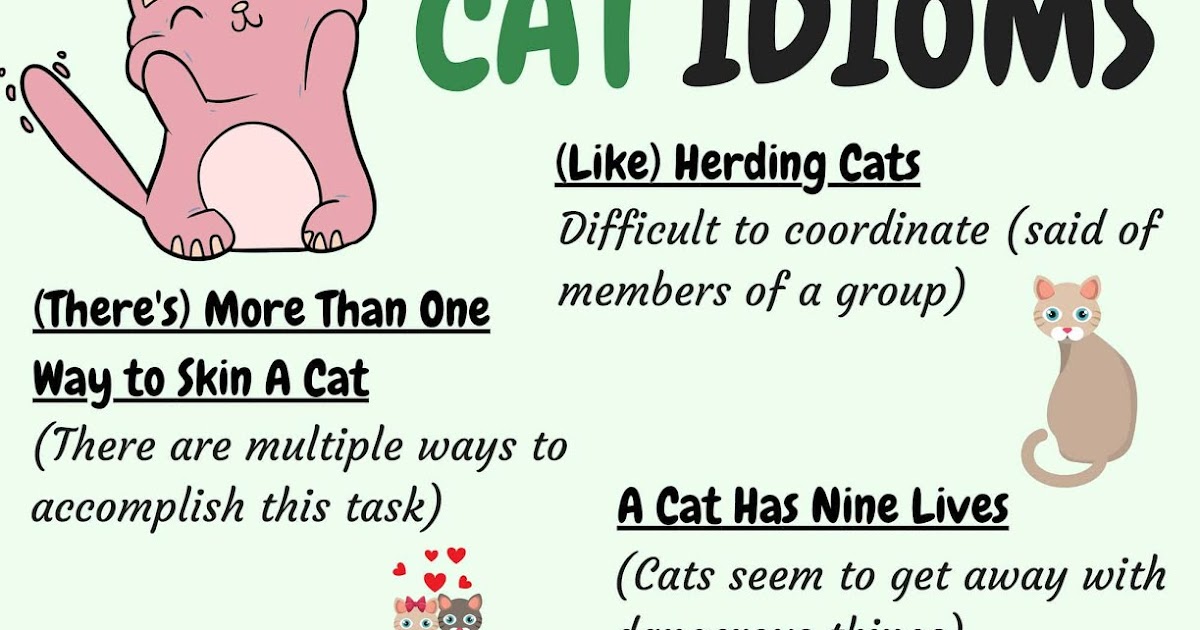 CAT Idioms 30 Common Cat Idioms with Examples