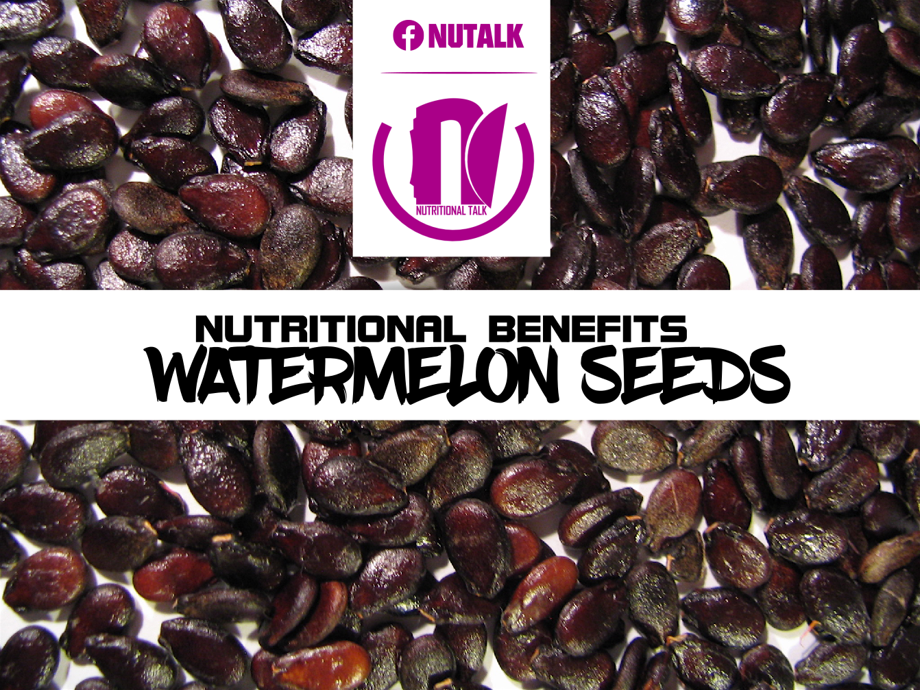 NUTALK NUTRITIONAL TALK NUTRITIONAL BENEFITS OF WATERMELON SEEDS nutalk-nutritional-talk-nutritional-benefits-of-watermelon-seeds