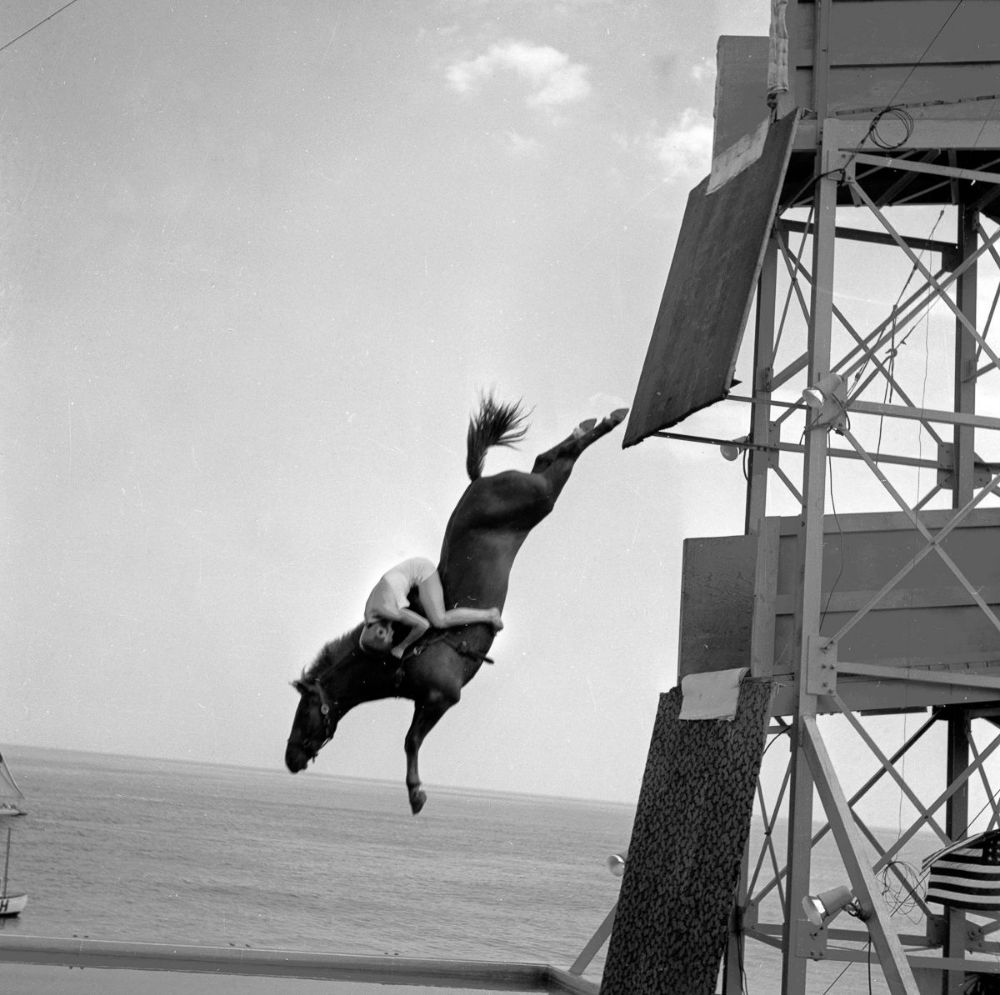 20 Incredible Vintage Photographs of Women Diving Horses in Atlantic City From the Early 20th