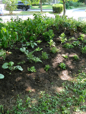 St. Andrews York Mills front garden renovation after by Paul Jung Gardening Services Toronto St. Andrews York Mills front garden renovation after by Paul Jung Gardening Services Toronto