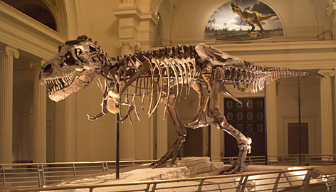 tegan trex porn tegan trex porn