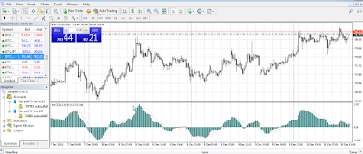 Belajar trading option jember