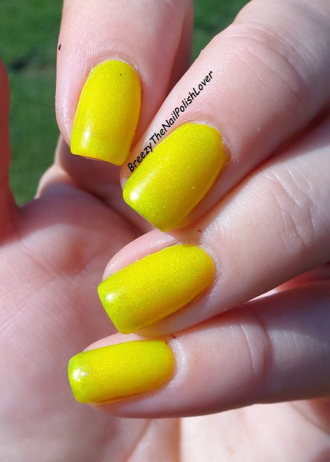 BreezyTheNailPolishLover Cutting Edge Nails Review/Swatches