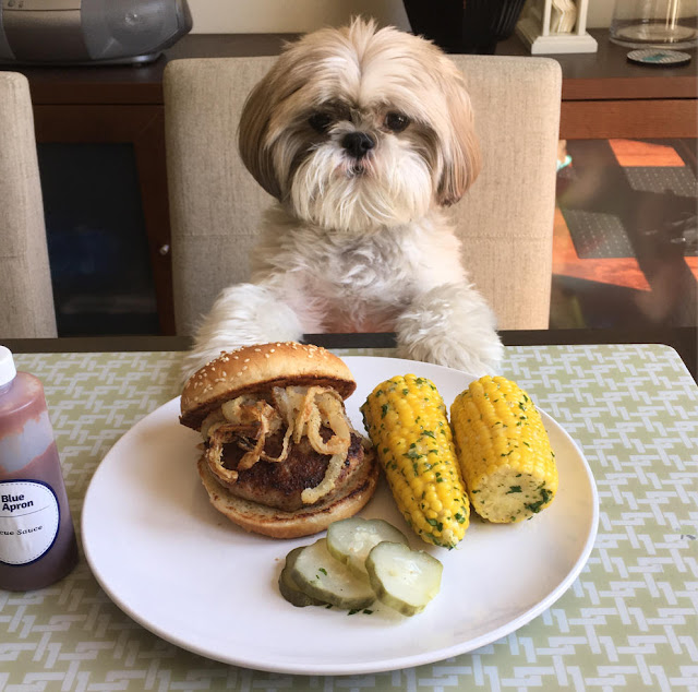 25 alimentos que você pode dar a seu shih tzu e 11 que jamais deve dar