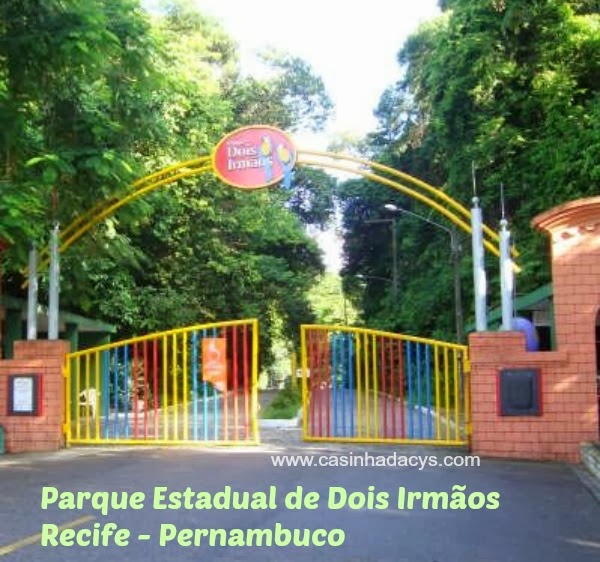 Parque Estadual Dois Irmãos em Recife