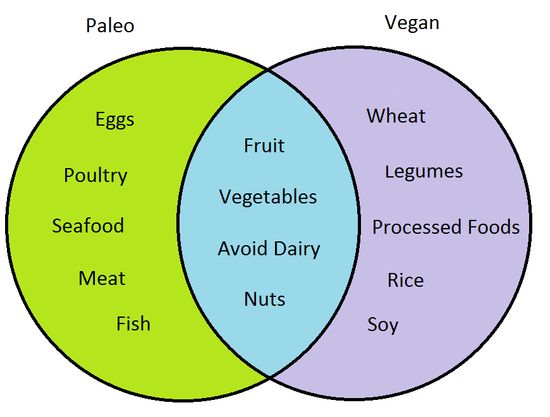 our Harshing On My Legumes I Why Paleo Is So Quick To Jump On Vegans I Pegan Paleo Vegeo