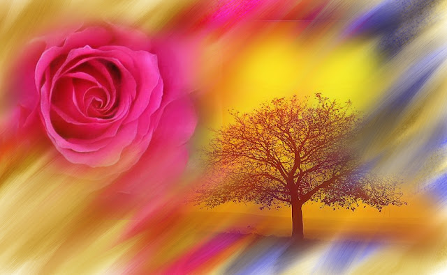 color,colour,life, colors,