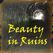 Beauty in Ruins