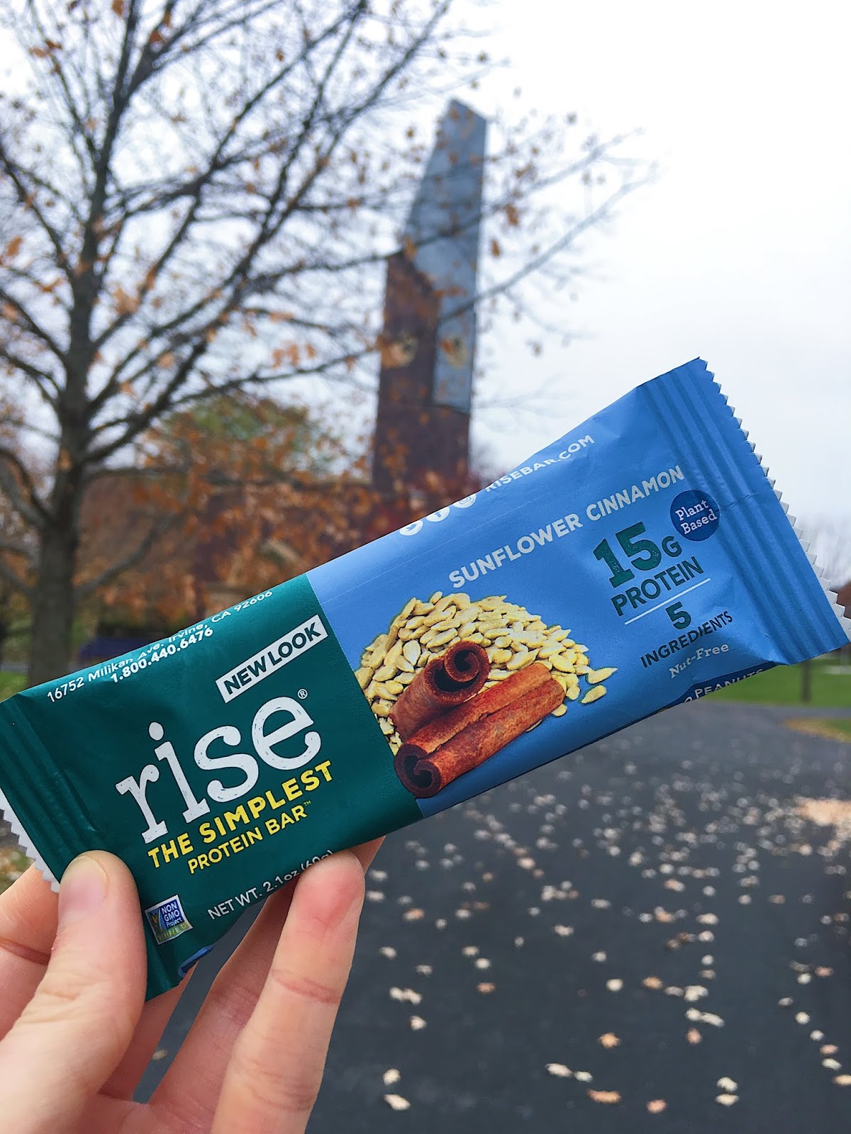 A Celiac's Top Gluten Free and Vegan Protein Bars