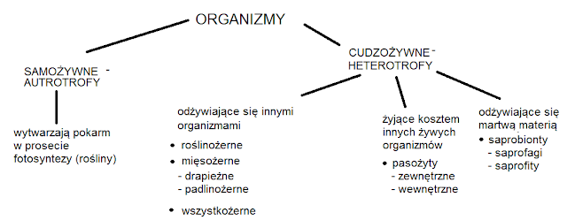Biologia w gimnazjum: DZIAŁ II- JEDNOŚĆ I RÓŻNORODNOŚĆ ORGANIZMÓW