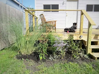 plantings landscaping backyard 