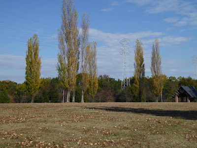 【大阪府枚方市】山田池公園・秋の紅葉ウォーキング