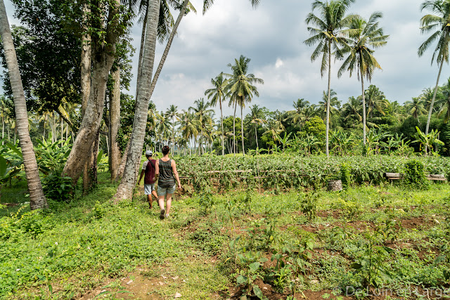 Vallée de la Sungaï Ayung - Ubud - Bali