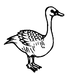 Sekitar Kawasan Sekolah: Gambar Outline_Binatang