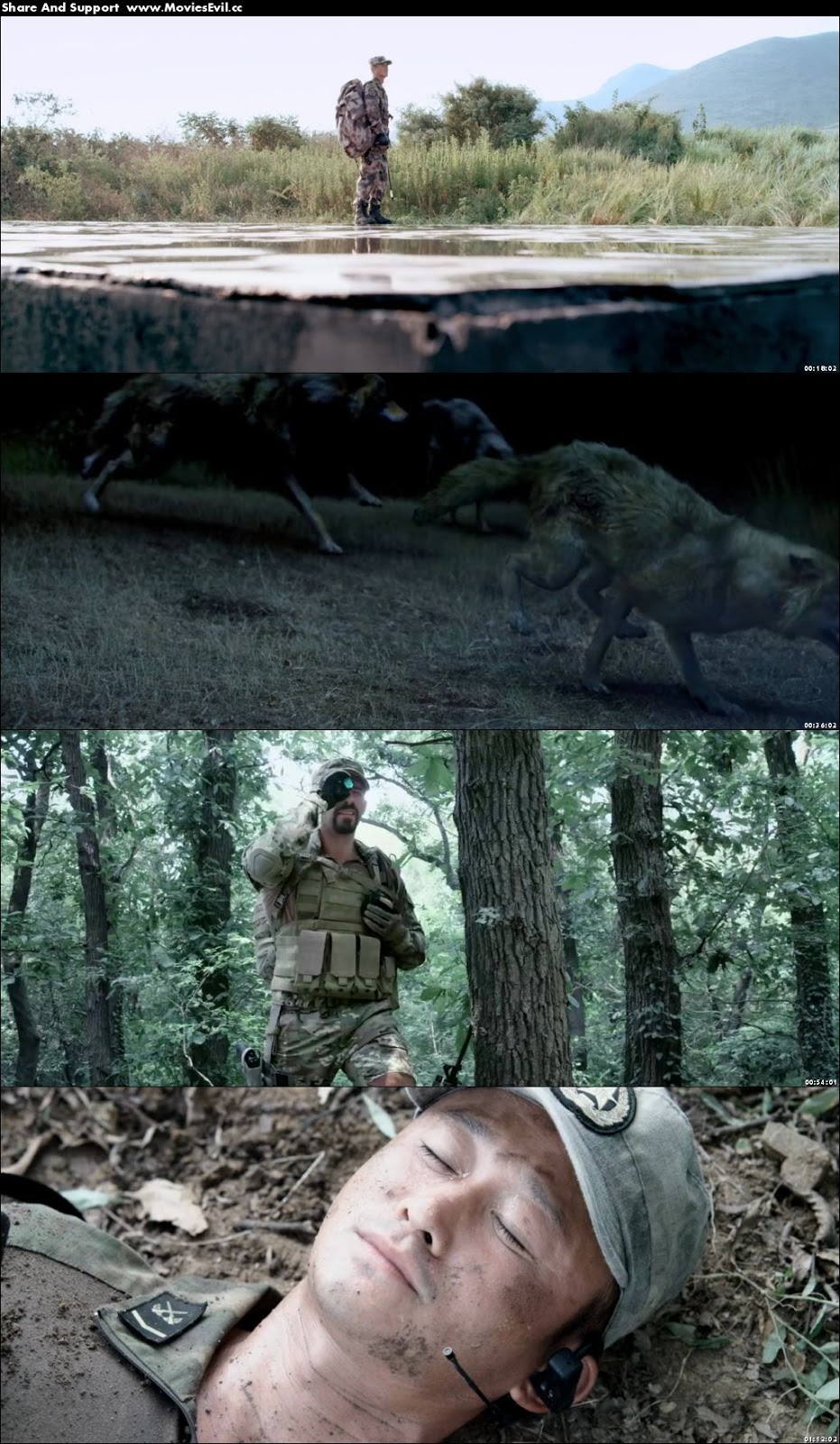 Wolf Warriors 2015 Chinese 480p BluRay 300 MB Download Wolf Warriors 2015 Chinese 480p BluRay 300 MB Download
