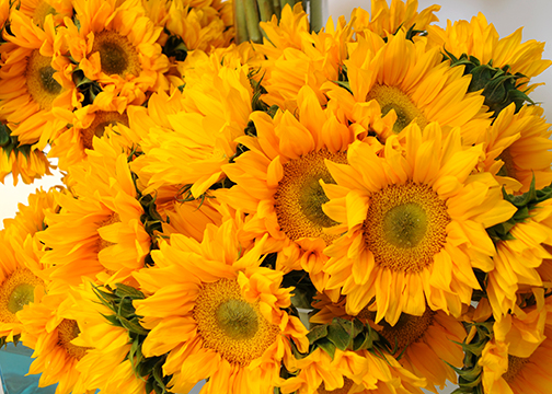 The Joy Of Flowers At Home With Jemma