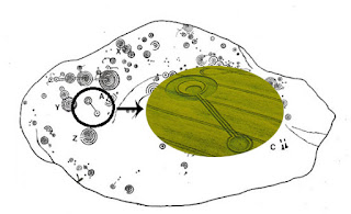 crop circle pertama