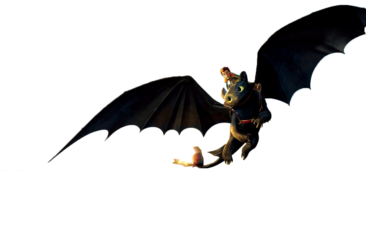Bau De Imagens Como Treinar Seu Dragao Png