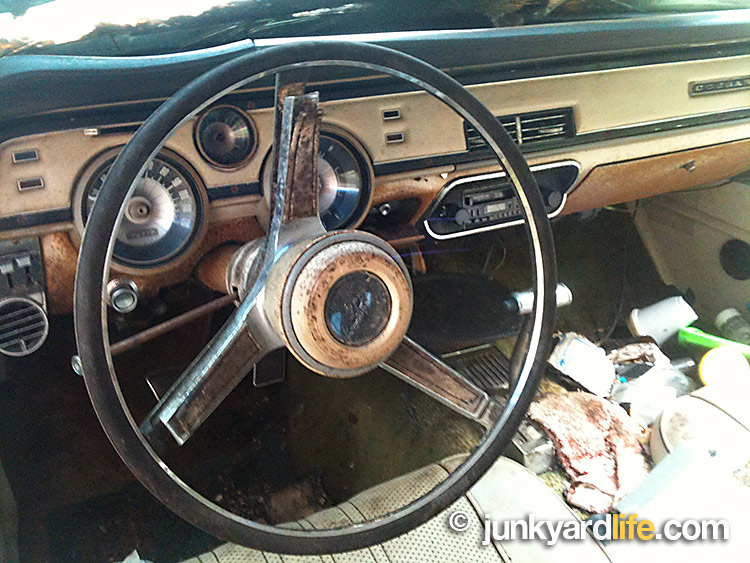 Junkyard Life Classic Cars Muscle Cars Barn Finds Hot