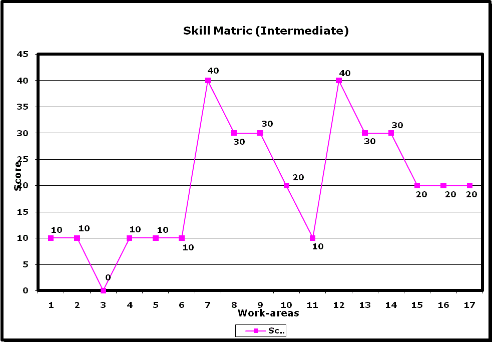 Skill Matrix - Intermediate Work-areas