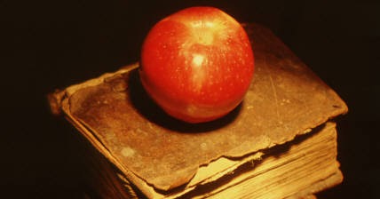 How I Built My 7th Grade Curriculum Plan | New 2 Homeschooling