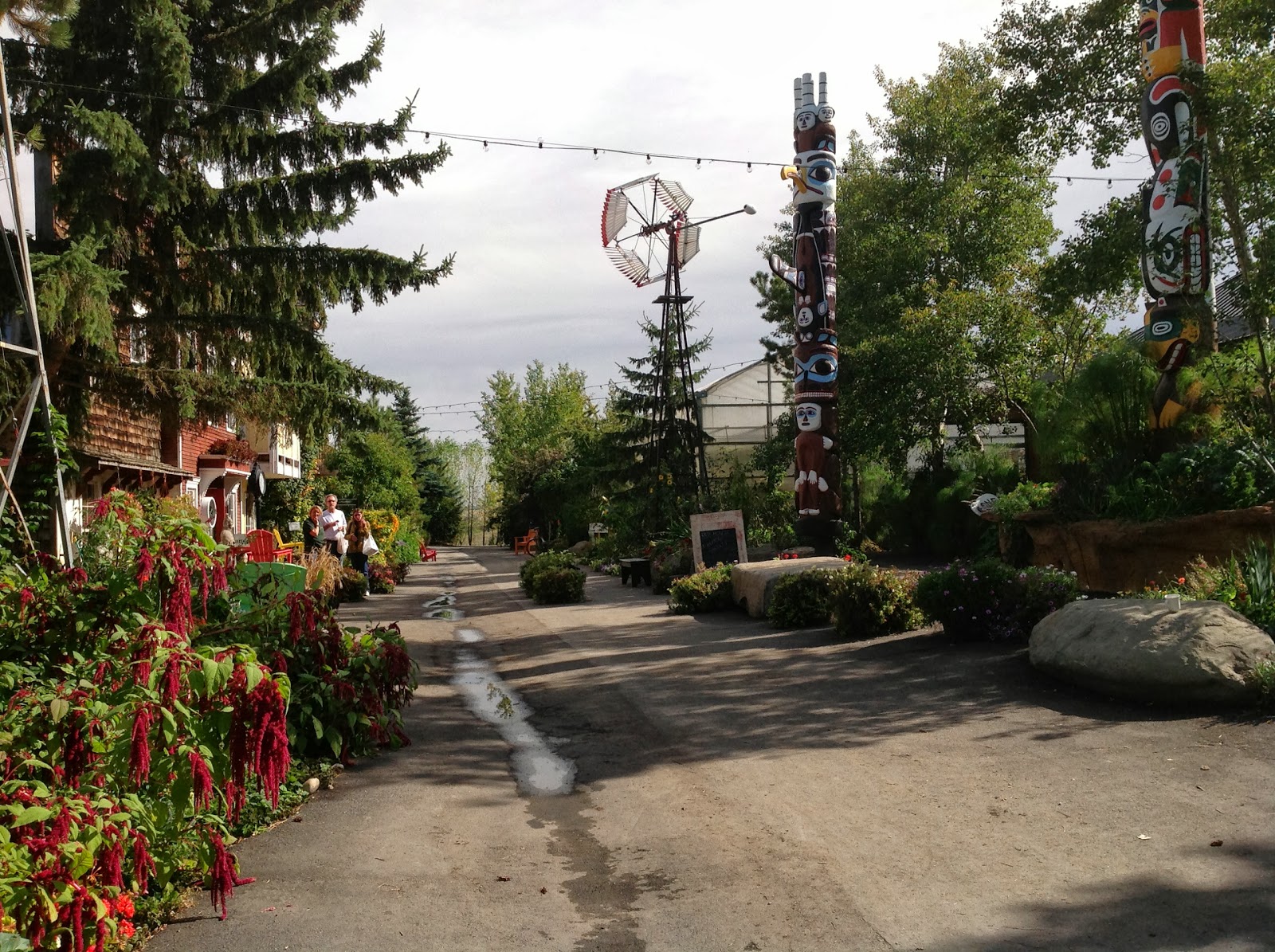 Shauna B Blog PRH1020 Saskatoon Farm Tour