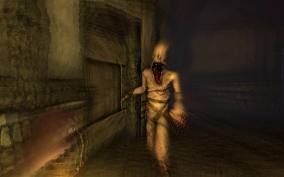 Amnesia: The Dark Descent