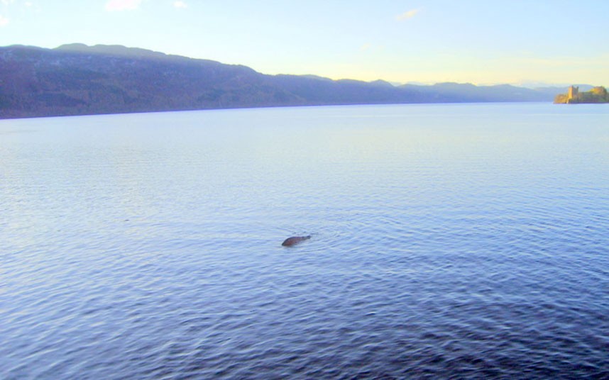 Nessie Pictures 76