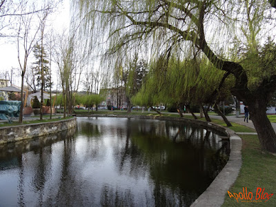Parcul Central Cluj Napoca