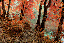 50+ HD Fall Wallpapers for Desktop 2020 Page 4 of 5 We 7