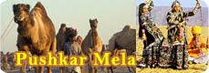 Pushkar Mela