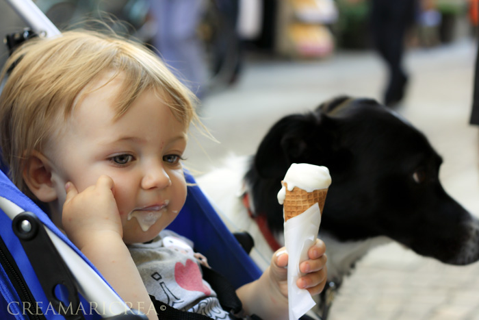 bambina con gelato e cane