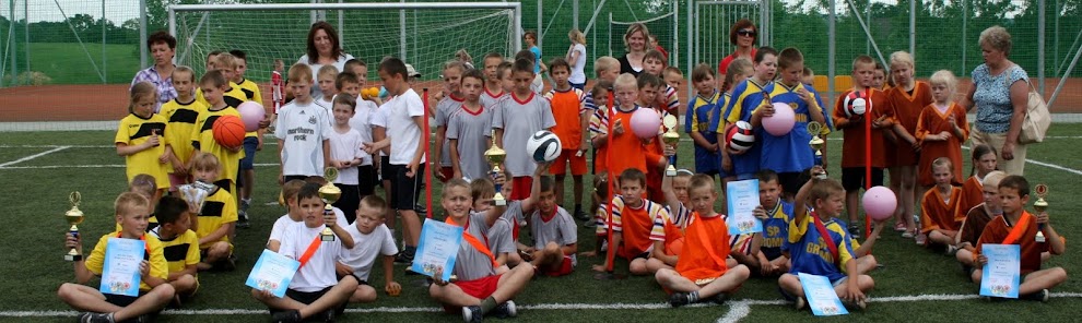 Sport w Szkole Podstawowej w Gromniku 