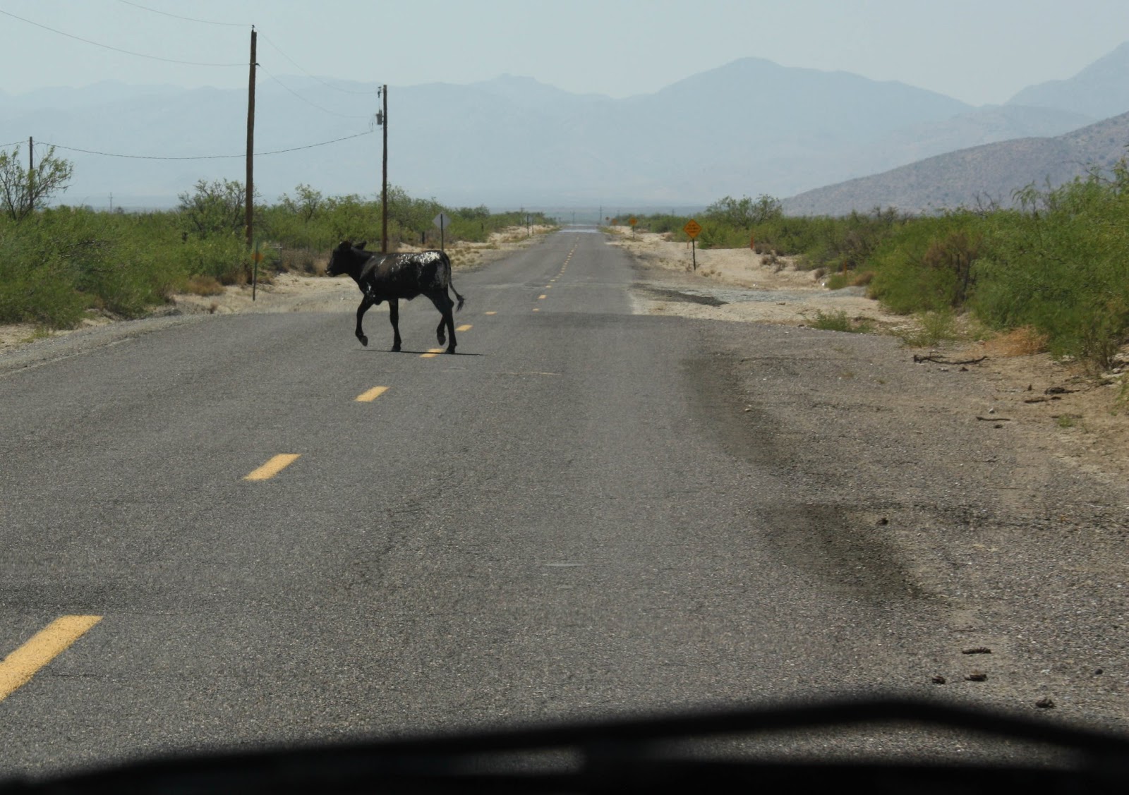 Rusty's RV Adventures Perkins from Lordsburg, NM to Benson, AZ