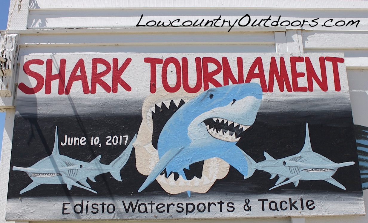 Lowcountry outdoors 2017 Edisto Shark Tourney winner High Expectations