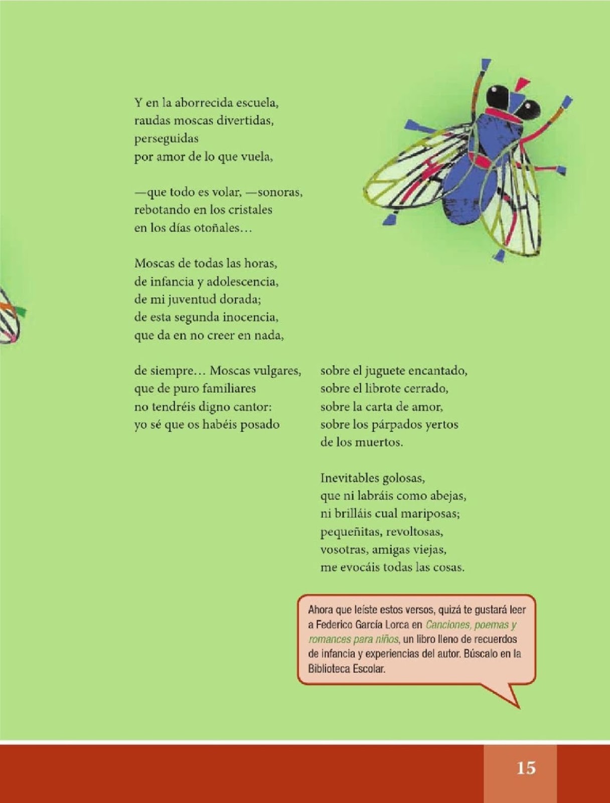 Las moscas - Español Lecturas - Sexto Grado ~ Apoyo Primaria