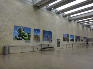 DSC06125.JPG