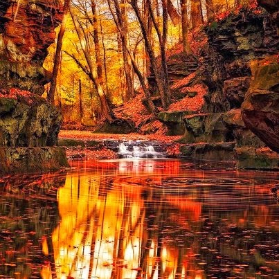 Autumnal pool reflections