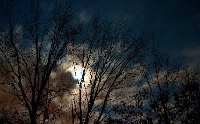 Moon, Night, Tree & Clouds