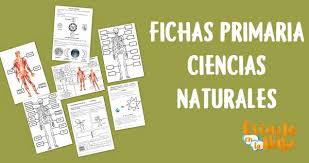 Más fichas de naturales