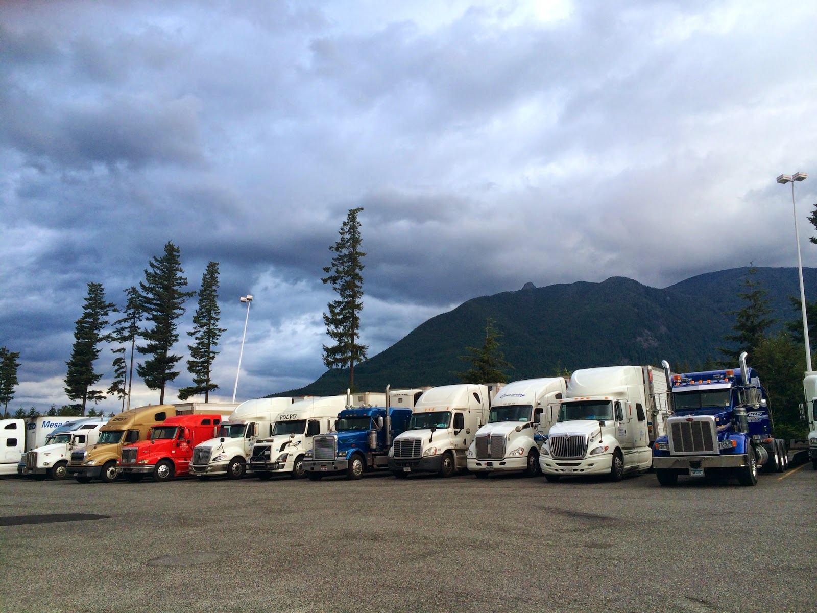 The Daily Rant This Place Is For The Birds