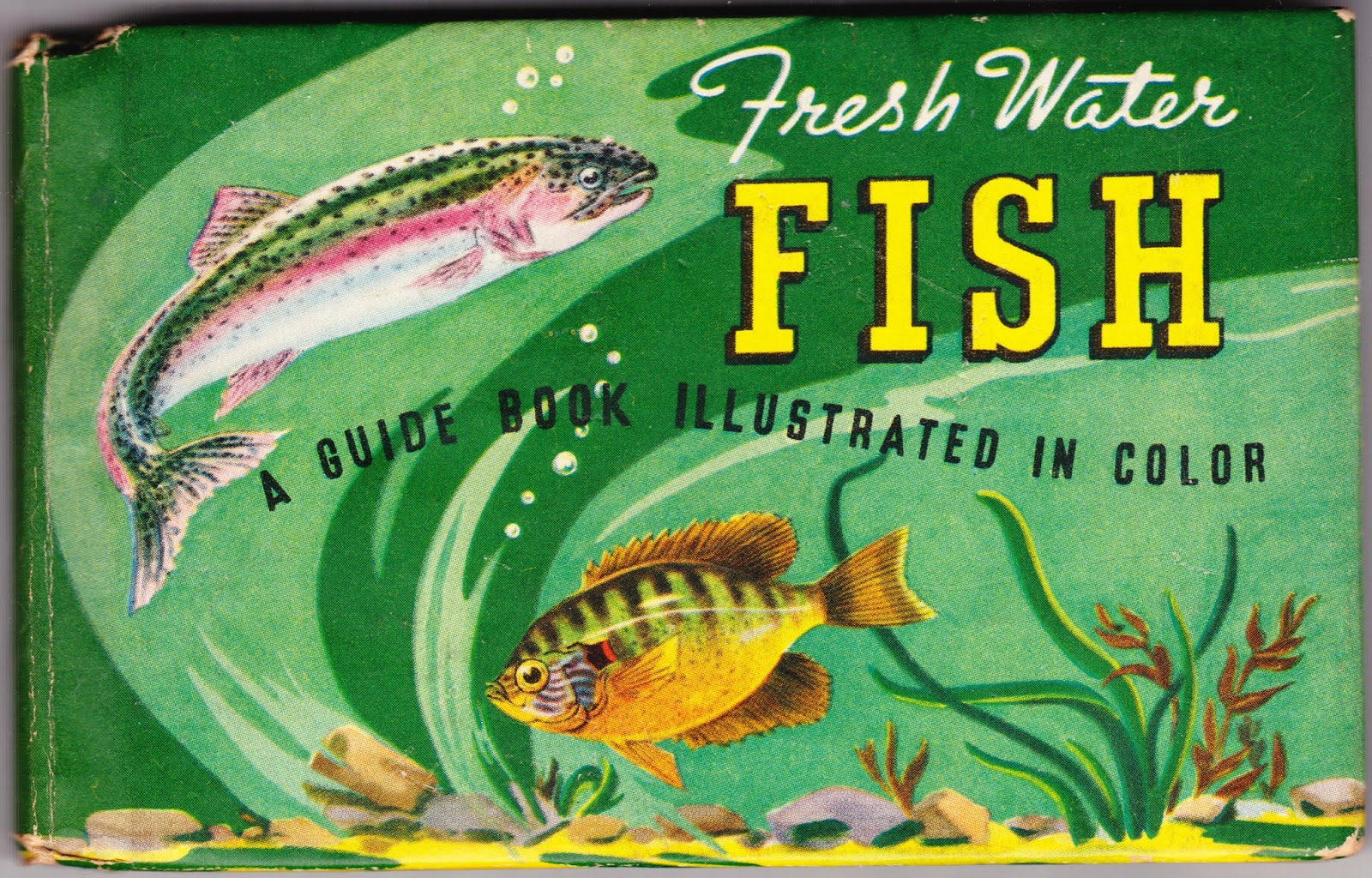 Papergreat Book cover "Fresh Water Fish"