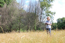 The Narwhal s Left Tooth: Citizen scientists document breeding birds in every corner of Rhode Island