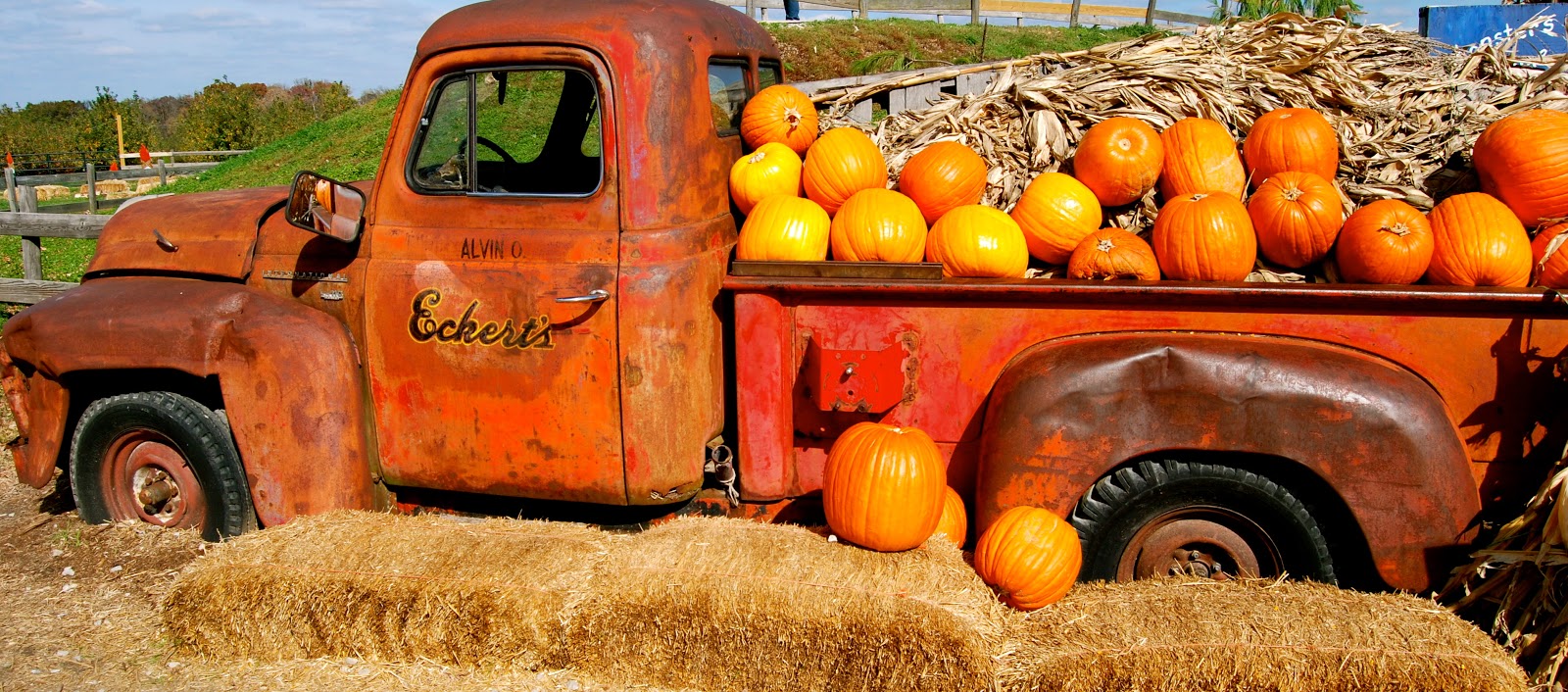 BeverlyDiane's Realm Pics from the Magic House & Eckert Apple Orchard near St. Louis