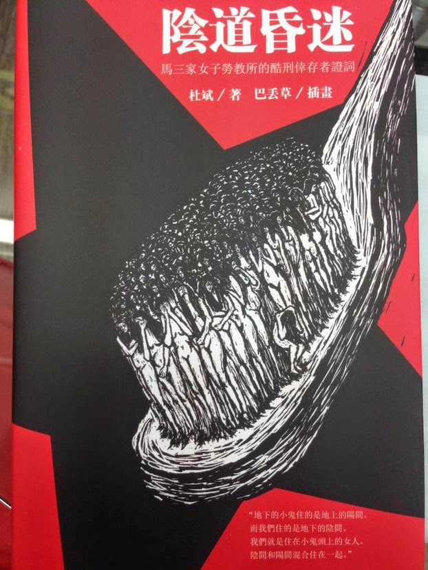 （上图）杜斌新书《阴道昏迷》封面