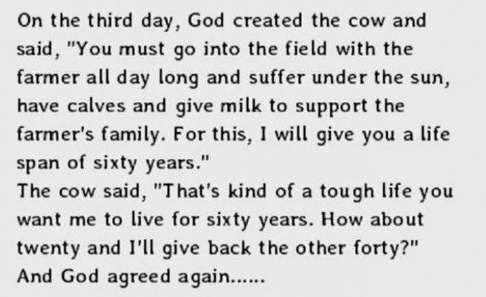 The%2BStages%2BOf%2BLife%2BExplained%2BP