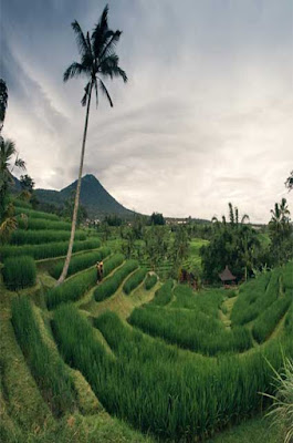 Purna Mukti | Sejarah Hari Raya &amp; Upacara Yadnya di Bali