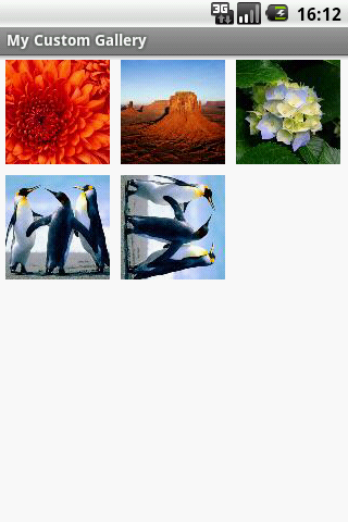 AndroidBite: Android Custom Gallery Example