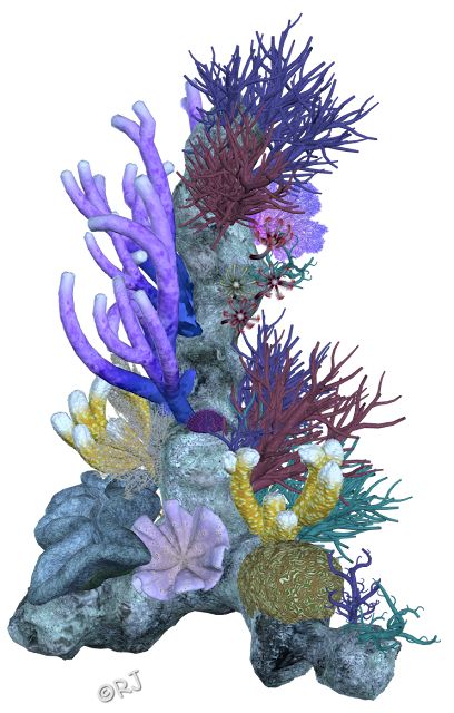 RJs Bits Bobs Props & Pieces: Coral Reefs