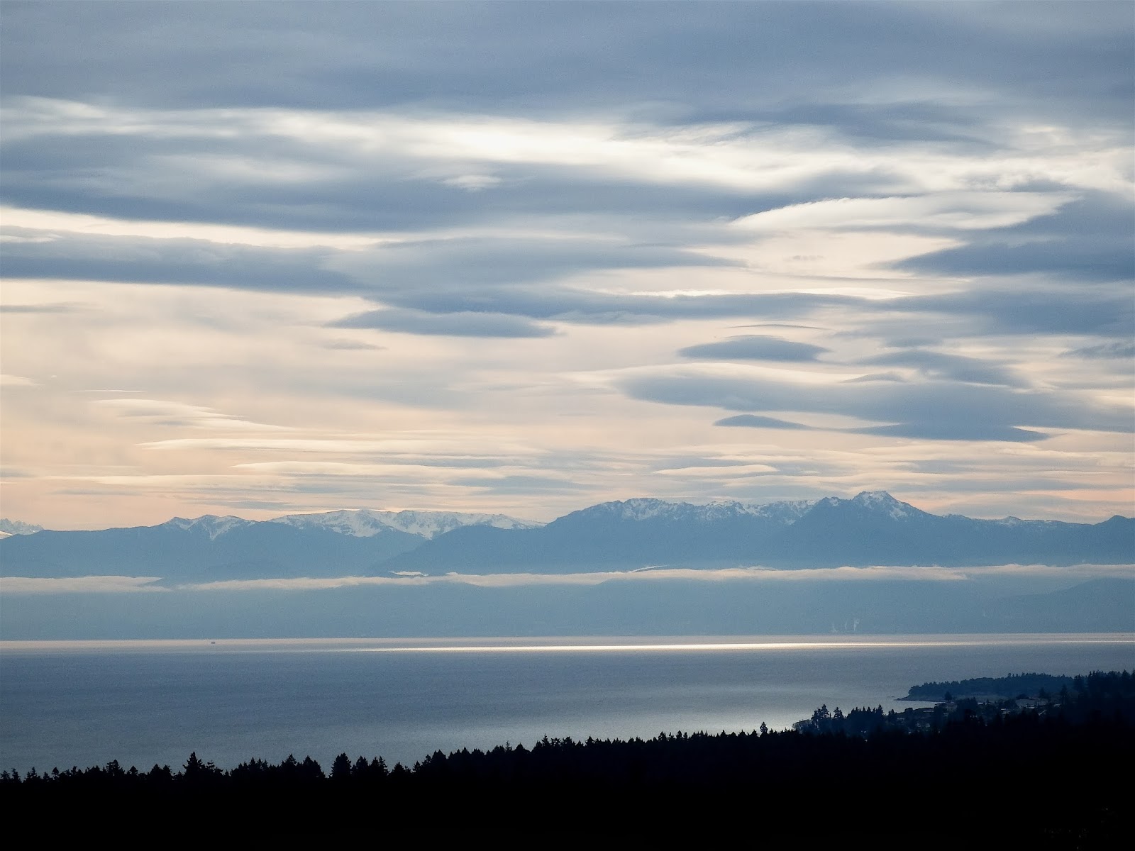 Wheelstogogo Travel Tales. Remembrance Day & A Hike up Mill Hill